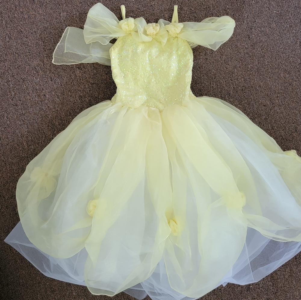 Dress Costume Dance Costume